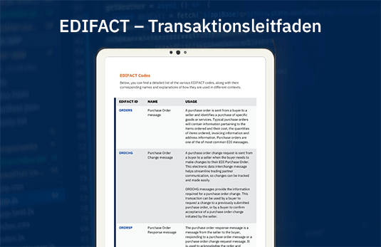 edi-transaktionsleitfaden-image-resized