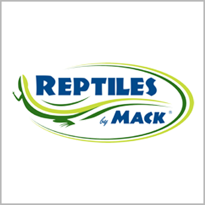 Reptiles by Mac