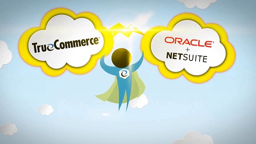 video-netsuite