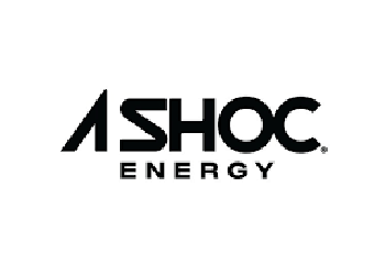 ERP Level 2 Logos_Shoc